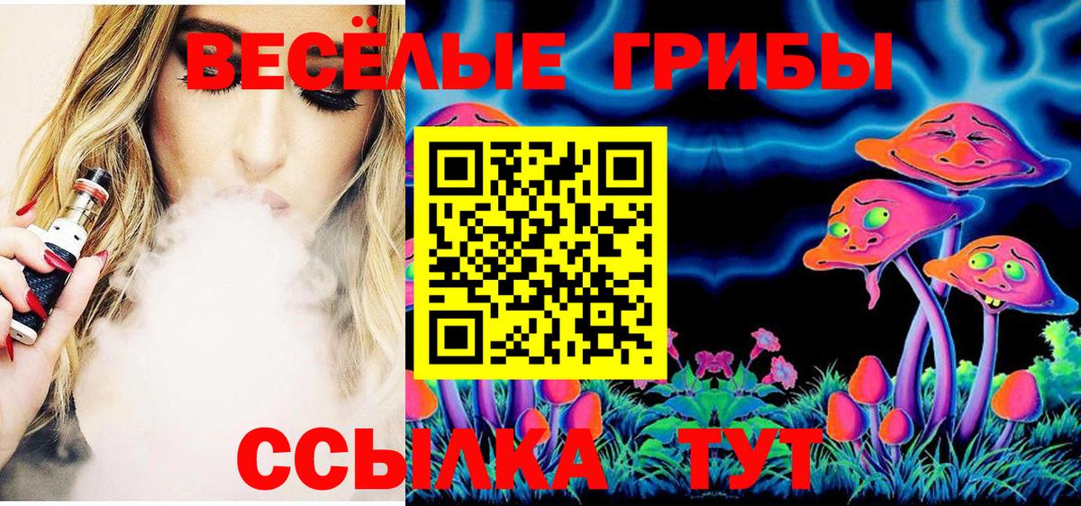Ангарск  Псилоцибиновые грибы Cubensis  Вход с VPN 